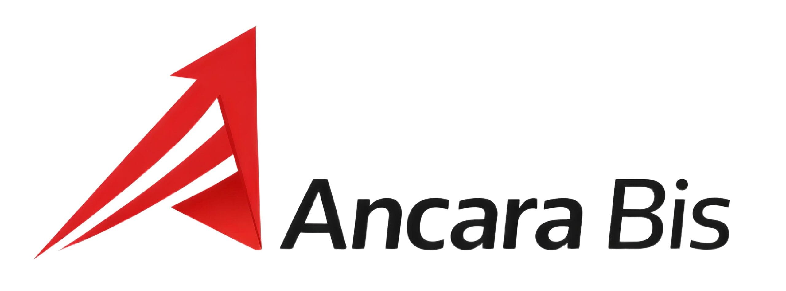 Ancara Bis Agencja Reklamowa